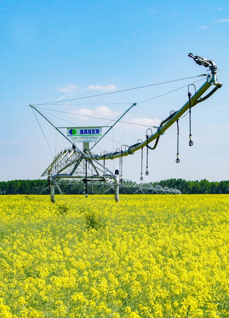 imgi 16 Bauer Corner Raps 2 scaled