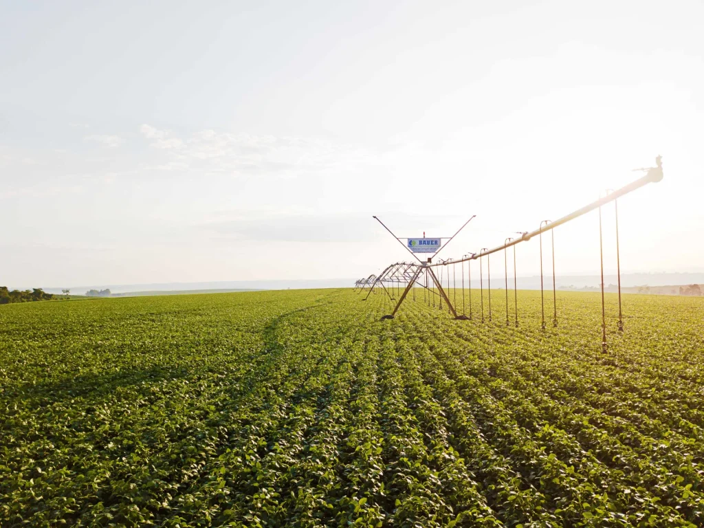 imgi 19 System9000 3 scaled