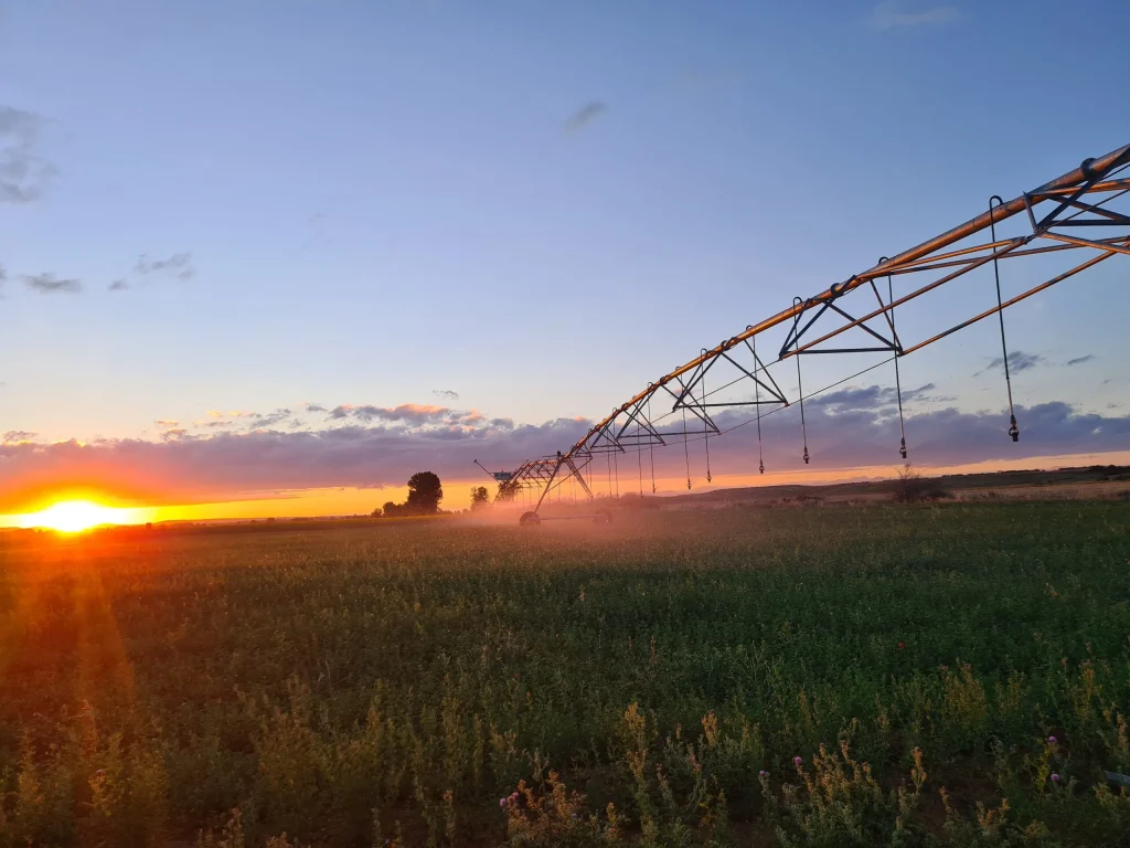 imgi 21 Linestar 1 scaled