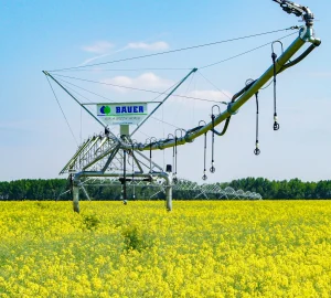 imgi 16 Bauer Corner Raps 2 scaled