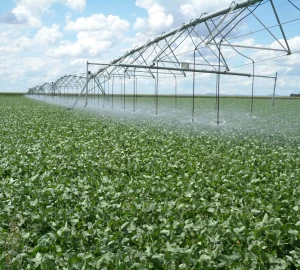 imgi 18 System9000 5 scaled