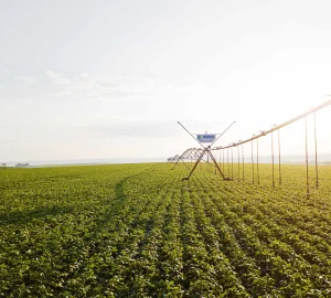 imgi 19 System9000 3 scaled