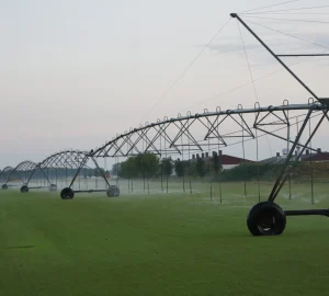 imgi 20 Linestar scaled