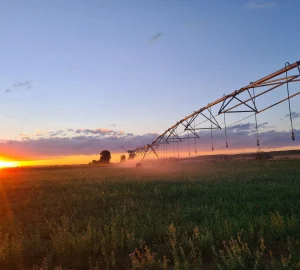 imgi 21 Linestar 1 scaled